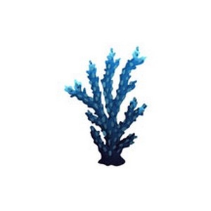 Realistic Coral  9